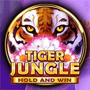 Biểu tượng bảo mật dữ liệu và mã hóa tại win456 apk
