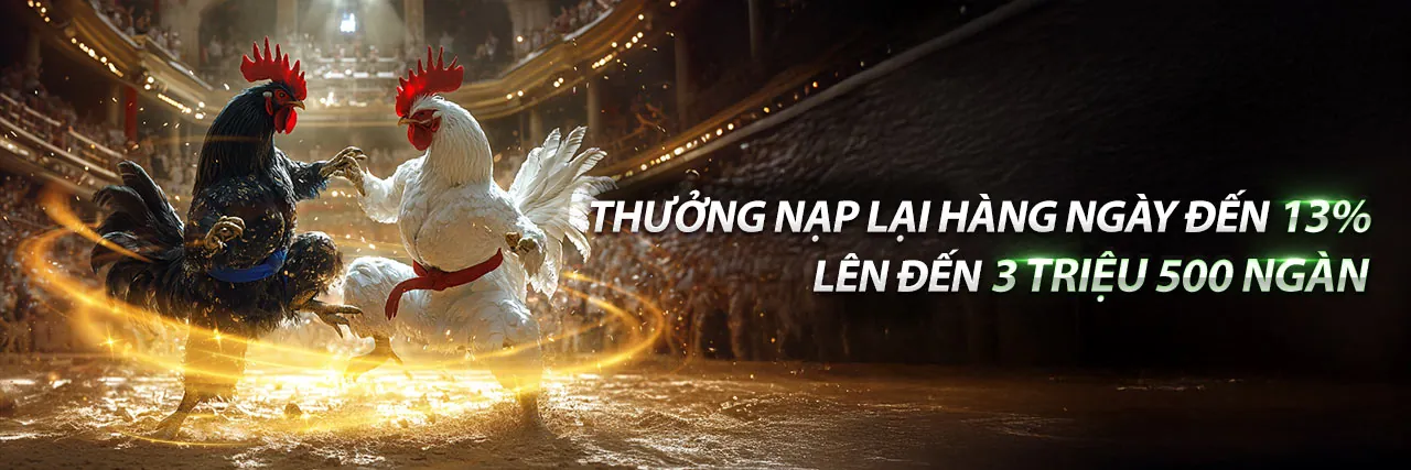 Sân vận động với ánh đèn rực rỡ và logo win456 apk, tượng trưng cho trải nghiệm cá cược thể thao đỉnh cao.