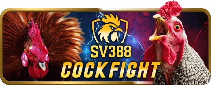 Hoàn Trả Thua Cược WIN456 APK